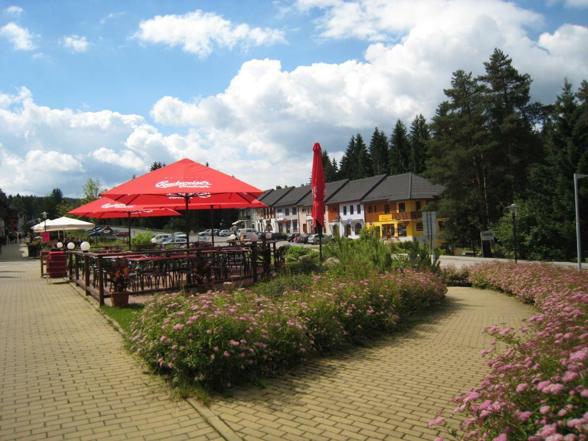 Apartmán Riviera Lipno nad Vltavou Exterior foto